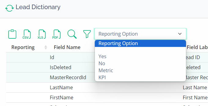 Salesforce Data Dictionary Status