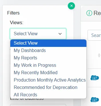 Salesforce Report and Dashboard Views